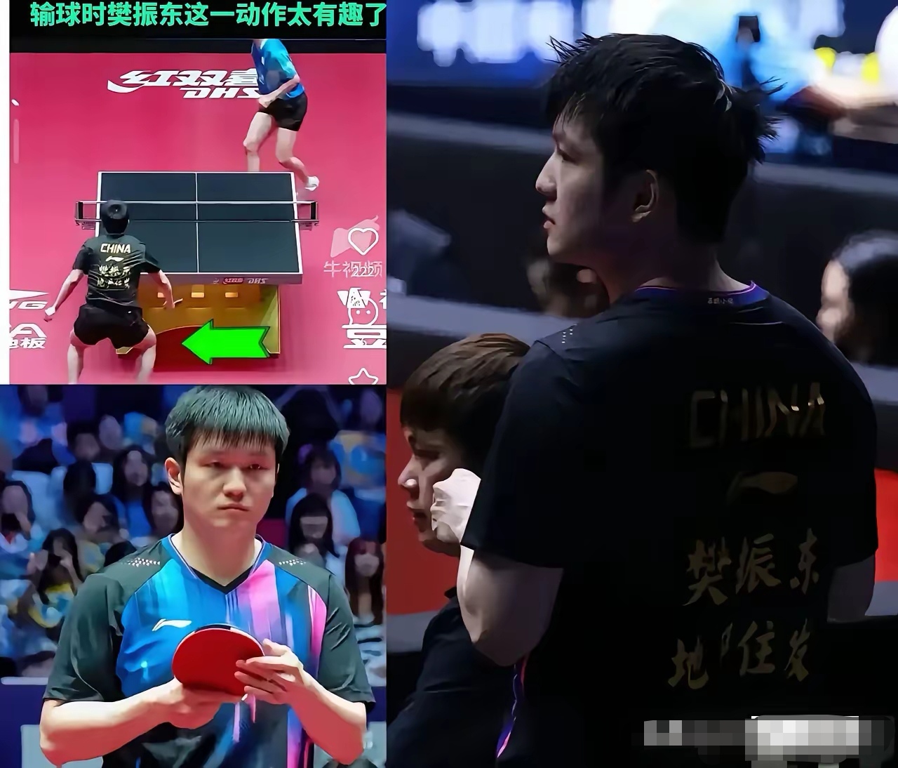 开云体育下载-韩国乒乓球队横扫德国乒乓球队，樊振东送出助攻的简单介绍