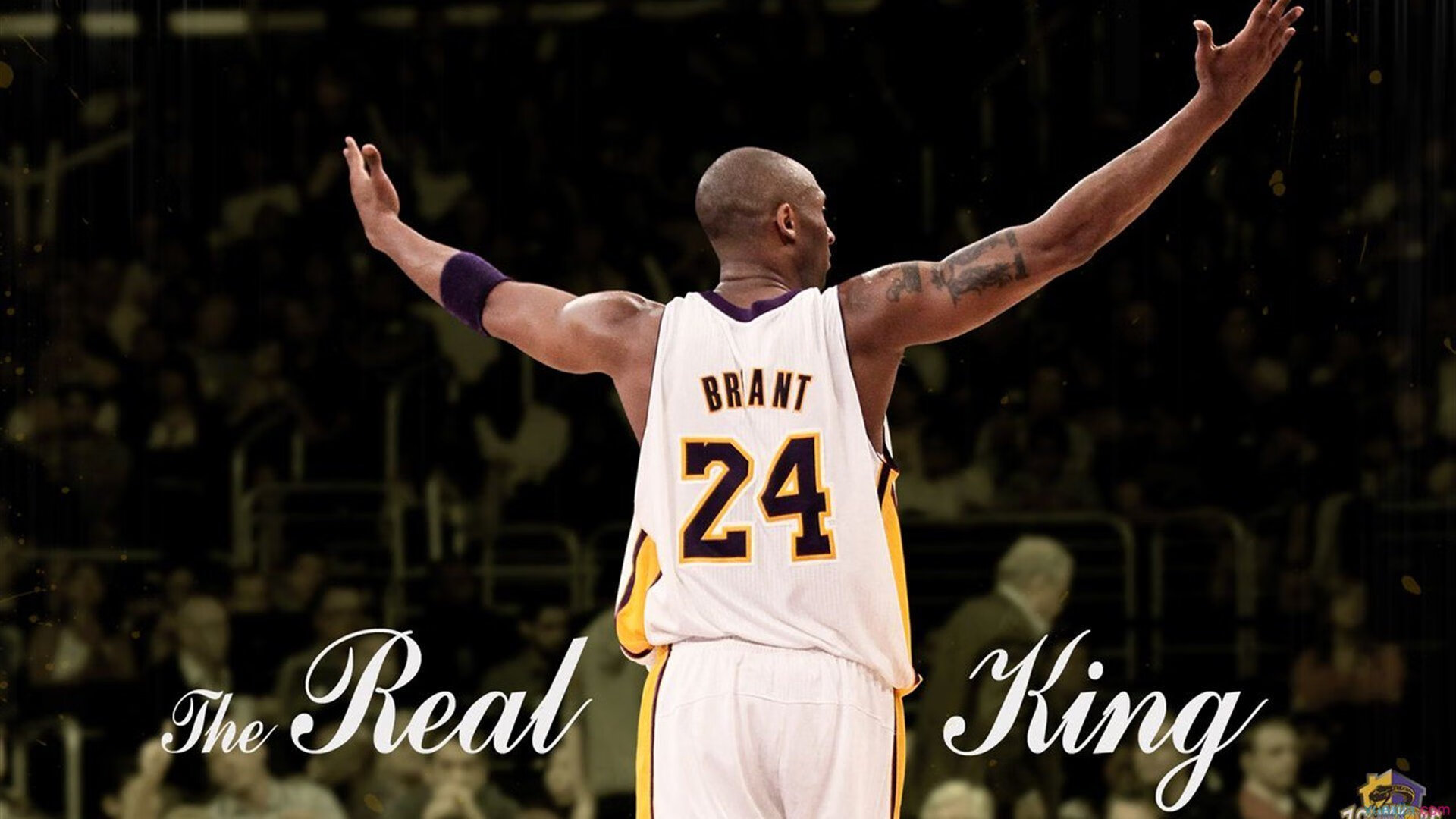 开云官方app入口-美加墨世界杯焦点战启示录，从马刺式制霸看公牛王朝的现代演绎